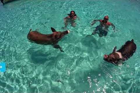 Exuma Island Hopping Speed Boat Tour from Nassau, Bahamas