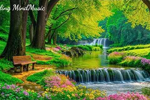Peaceful Piano Music for Mind 🌿 Relaxing Nature Sounds Help Reduce Stress &amp; Stop Overthinking