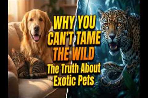 Why You Can't Tame the Wild: The Truth About Exotic Pets