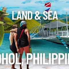 We Found Bohol’s Best Kept Secret: Scuba, Wildlife & Culture!