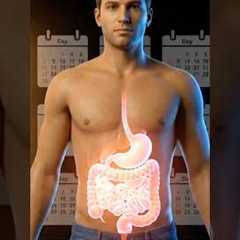 Stop Feeding the Bad Bacteria in Your Gut #microbiome #guthealth #nutrition