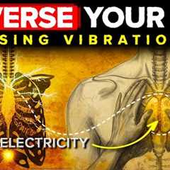 The THYMUS GLAND Trick That REVERSES Aging Overnight