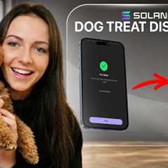 I Built an IoT Dog Treat Dispenser Triggered by Webhooks