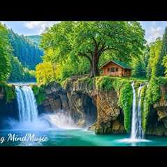 Gentle Piano Music 🌿 Relaxing Music Helps Reduce Stress & Balance Emotions, Soothing The Soul.