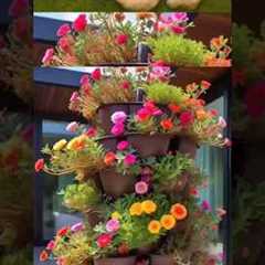 Gardening ideas For Beginners..