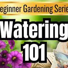 🛑💦 STOP WATERING Your Plants Like This | Beginner Gardening Series Video #11