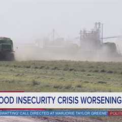 Global food insecurity crisis worsening | Rush Hour