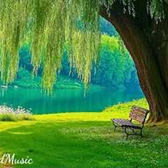 Beautiful Relaxing Music & Nature Sounds 🌿 Reduce Stress, Stop Overthinking and Deep Sleep