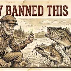 The Industry Hid This Bait For Decades — Costs Pennies And Catches Triple