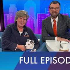 The Jason Show: 'Muppet Show' return and dog training tips