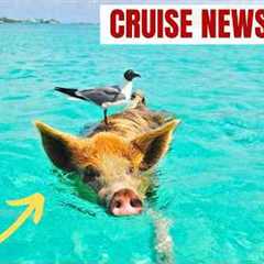 Popular Bahamas Cruise Excursion Sends Man to ICU