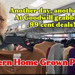 Goodwill Thrift Haul | Picking the Best Clothes to Resell |99 cent deals| Thrift With Me at Goodwill