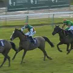 SHOCKING RACE MOMENT!  JOCKEY FALLS OFF- LOOSE HORSE KEEPS RUNNING INTERRUPTING OTHER RUNNERS