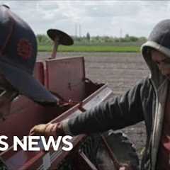 Russia's war in Ukraine amplifying global food insecurity, U.S. officials say