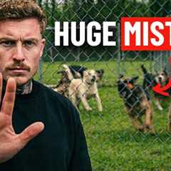 Why I STOPPED Going To Dog Parks (Dangerous Mistake)