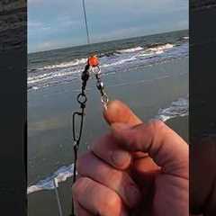SURF FISHING TIP: Leader Line Vs Main Line Weight #beginner #surffishing #fishing #heavy #beach
