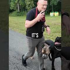 4 Things That WON’T Stop a Dog Attack!