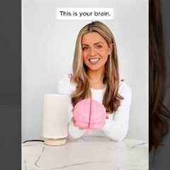 This Is What Junk Food Does To Your Brain 🧠👀⚡️#health #wellness