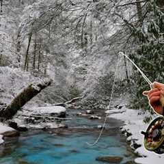 A Week of Fly Fishing for Trout in Record Breaking Cold!!