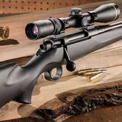 6 Budget Firearms Preppers Should Get NOW!!