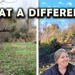 Transforming Our Once Neglected Land: The Final Year To Change Everything | Irish Farmhouse DIY