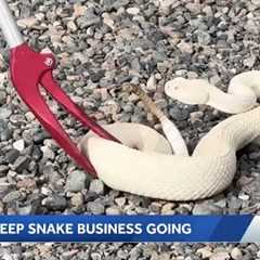 Founder of Sacramento dog training service that uses rattlesnakes fights to keep business going