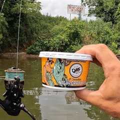 Old School Worm Fishing: How to Catch Big Fish with Night Crawlers 