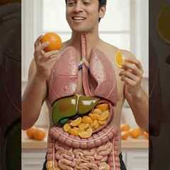 Orange Digestion Explained 🍊 | Inside Your Body | 3D Animation