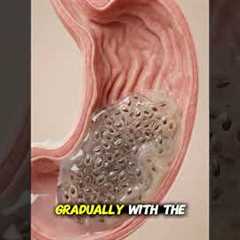 Eating Chia Seeds: How Your Body Responds🌱  #digestivehealth #foodscience #learnonyt