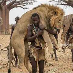 Hadzabe Tribe Hunting: Extreme Survival Kudu Hunt And Dangerous Lion Encounters in Africa