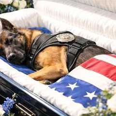 SAN JUAN POLICE K9 REX END OF WATCH CEREMONY  |  top best dog training techniques