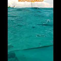 Dive into why Clifton Heritage Park is one of the best spots to snorkel in The Bahamas.