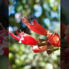 Creative Photography I Tips & Tricks with Phone using Pro Mode 📸 I Mobile Photography Hacks🔥