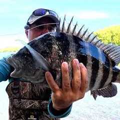 How to Catch Sheepshead!! Ultimate Fishing Tutorial