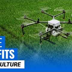 Top 5 Benefits of Drones in Agriculture