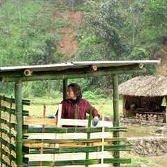 Expanding My Farm – Building a Duck House on $1,000 Land | EP19