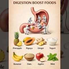 Digestion Boost Foods | Supporting a Healthy Gut Naturally