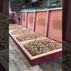 Top Personalized Groomsmen Gifts: Ultimate Custom Groomsmen Box Idea