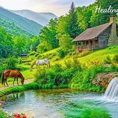 Soothing Piano Music 🌿 Beautiful Relaxing Music to Reduce Stress, Stop Overthinking, Deep Sleep