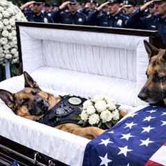 K 9 Funeral in Troy, Illinois | top best dog training techniques !