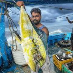 Day-01 | First Day Living in the Deep Sea | Cooking, Sleeping & Tuna Fishing Adventure