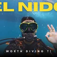 DIVING in El Nido, Palawan’s Underwater Wonders! What to expect!