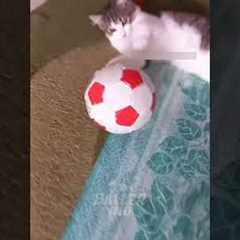 FOOTBALL FUNNY MOMENTS, SKILLS, GOALS & FAILS  #football #funny #soccer #skills #shorts