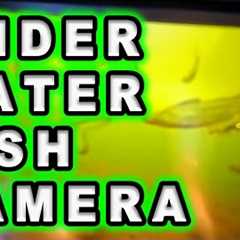 Cheap Amazon Underwater Camera Put to the Ultimate Fish Test