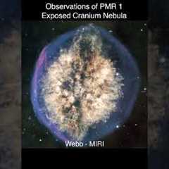 Exposed Cranium Nebula — James Webb Space Telescope #shorts