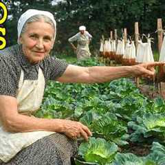 Zero Cost, No Chemicals! How Amish Grandma Keeps Pests Out of Garden Forever