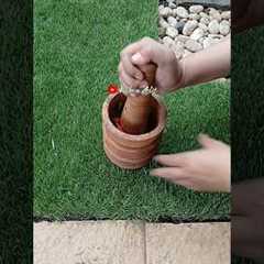 My Secret Garden Weapon: DIY Natural Spray‼️