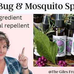 Best DIY mosquito spray | Homemade bug spray | How to Make Beautyberry insect repellent spray |
