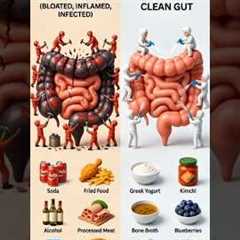 Gut Health | How Food Choices Influence Bloating, Digestion & Microbiome Balance