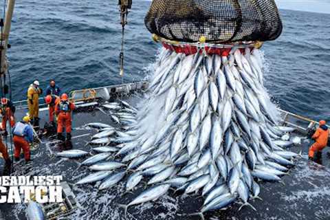 How 72 Hours of Bluefin Tuna Fishing Can Lead to a $2 Million Payoff | Fishing Documentary